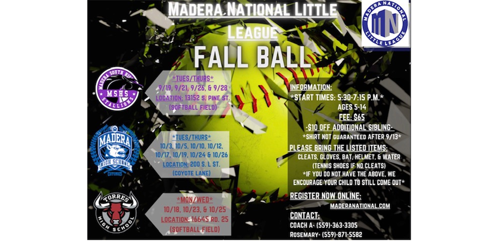 Softball Clinics