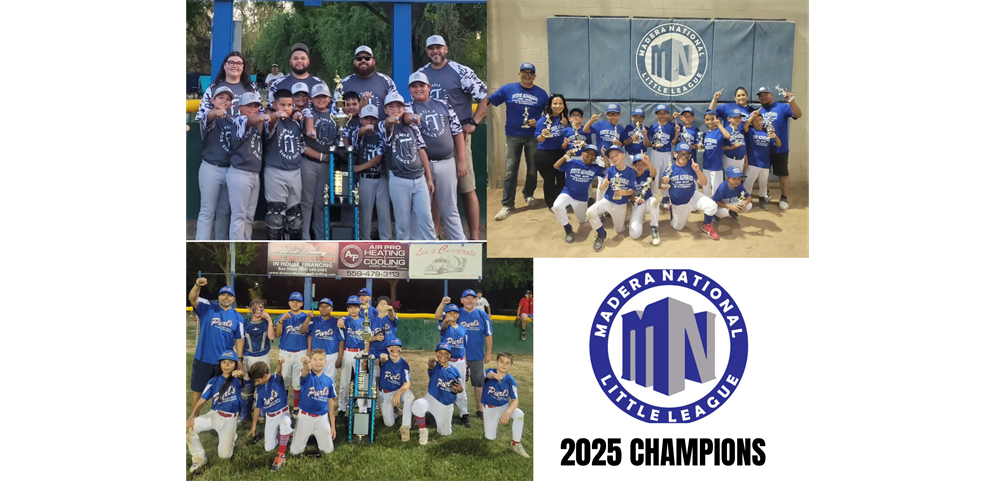 2025 Baseball Champion teams 